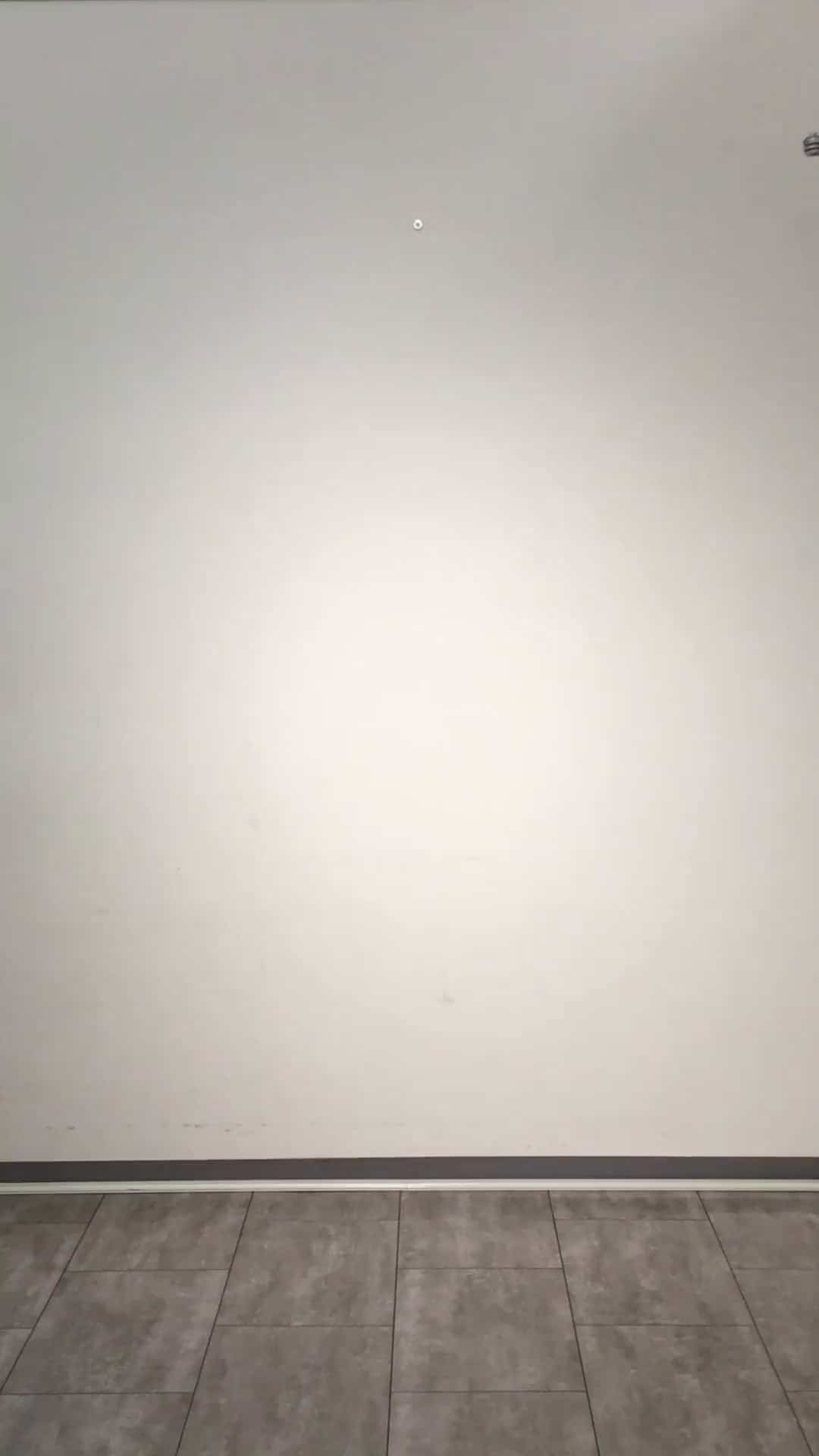 コーディネート