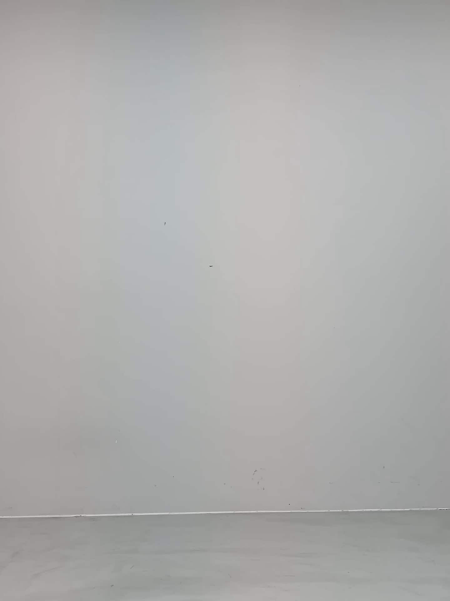 コーディネート