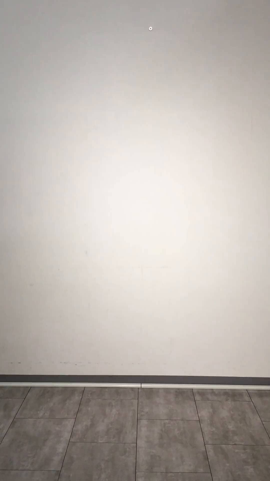 コーディネート
