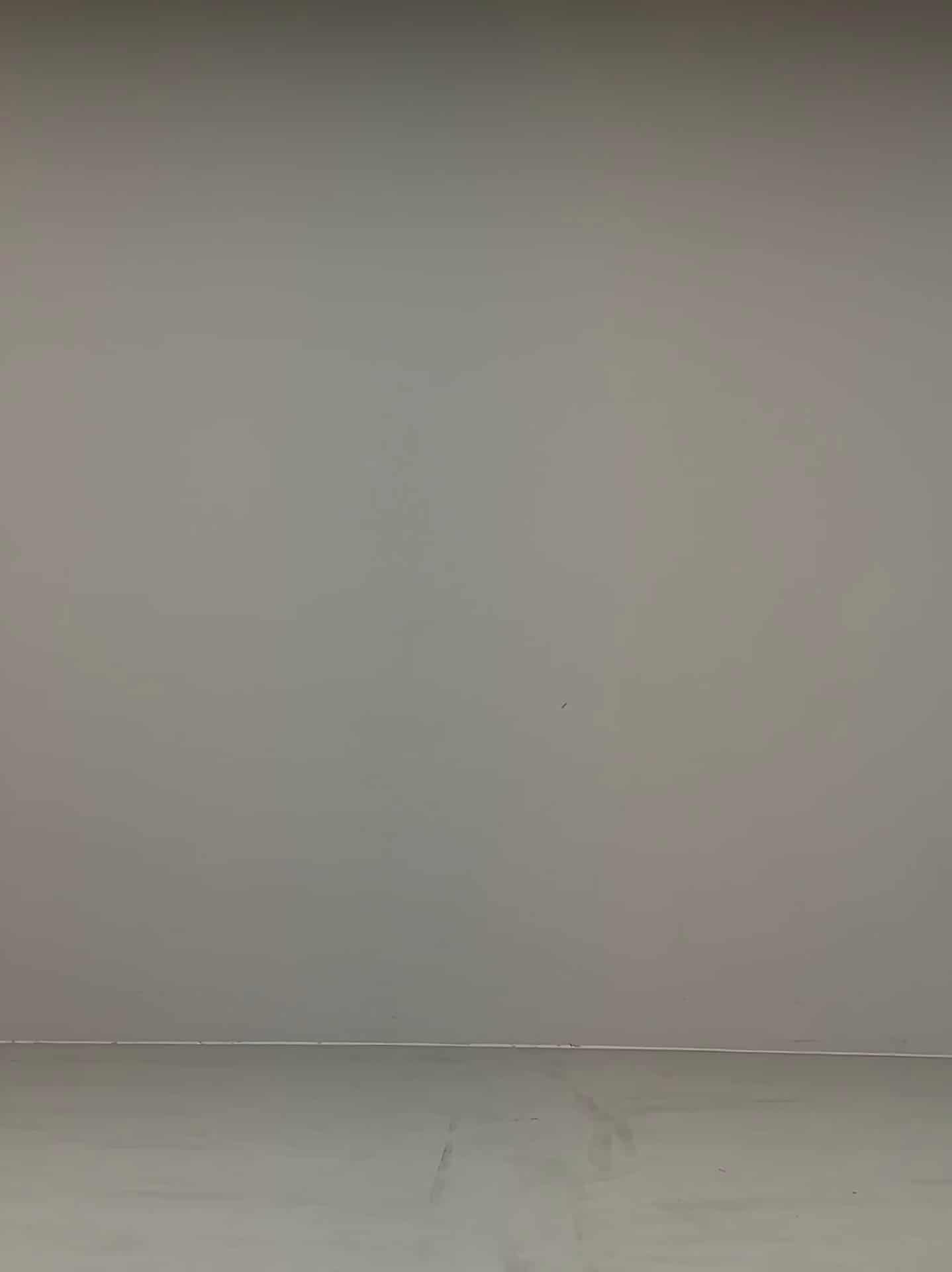 コーディネート