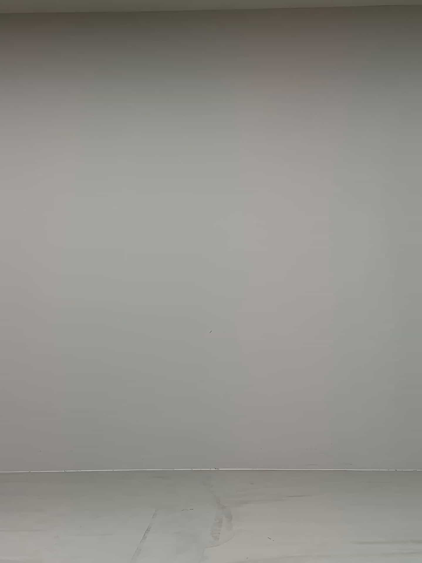 コーディネート