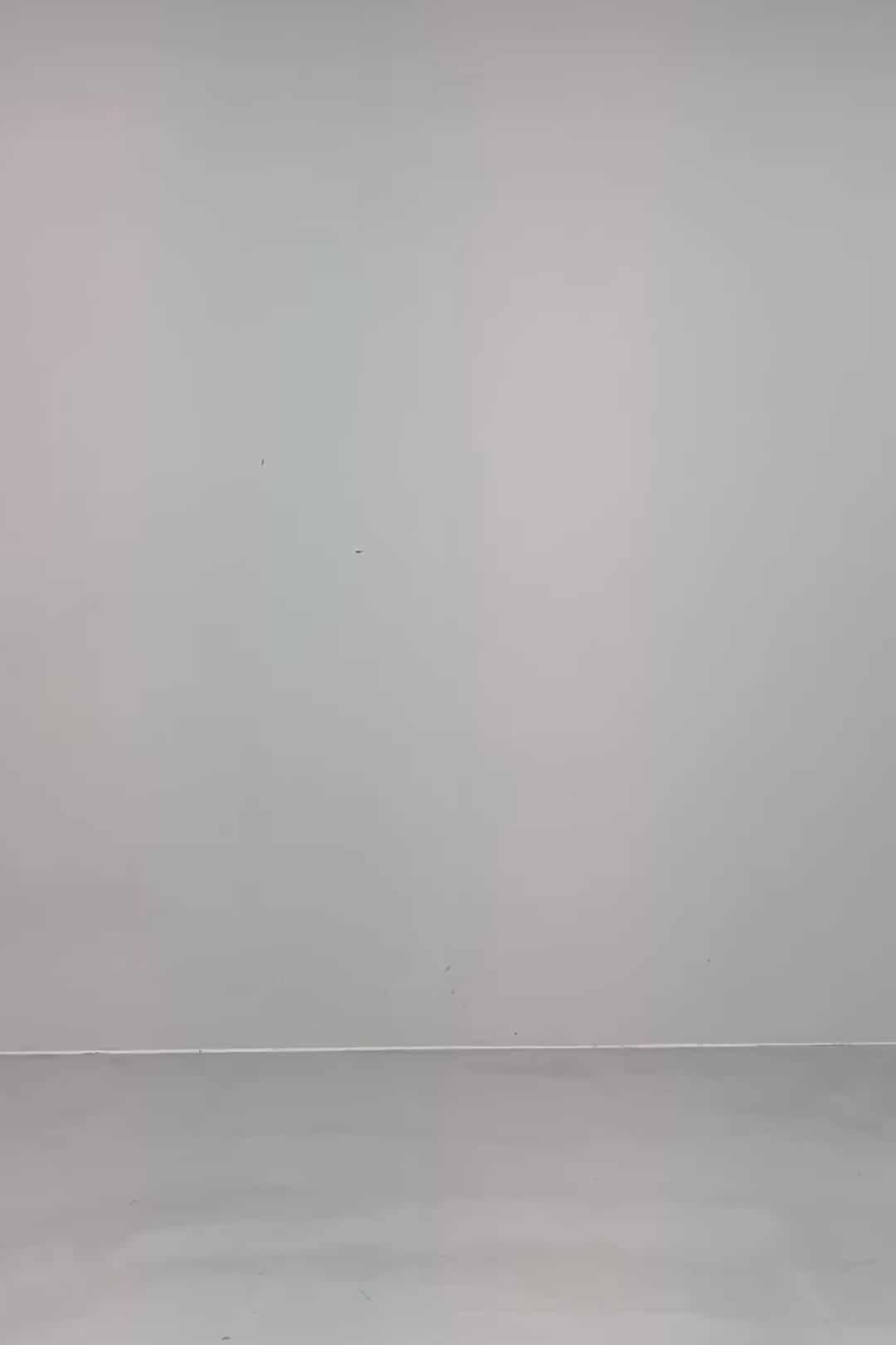 コーディネート