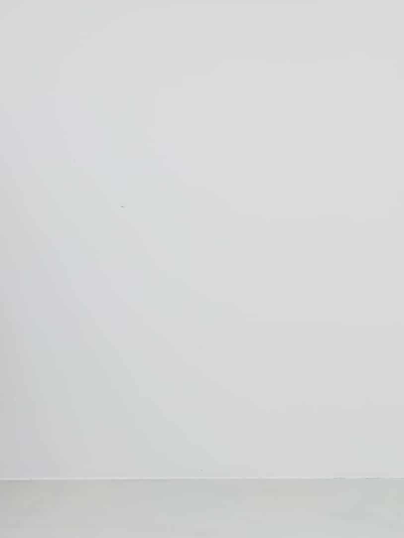 コーディネート