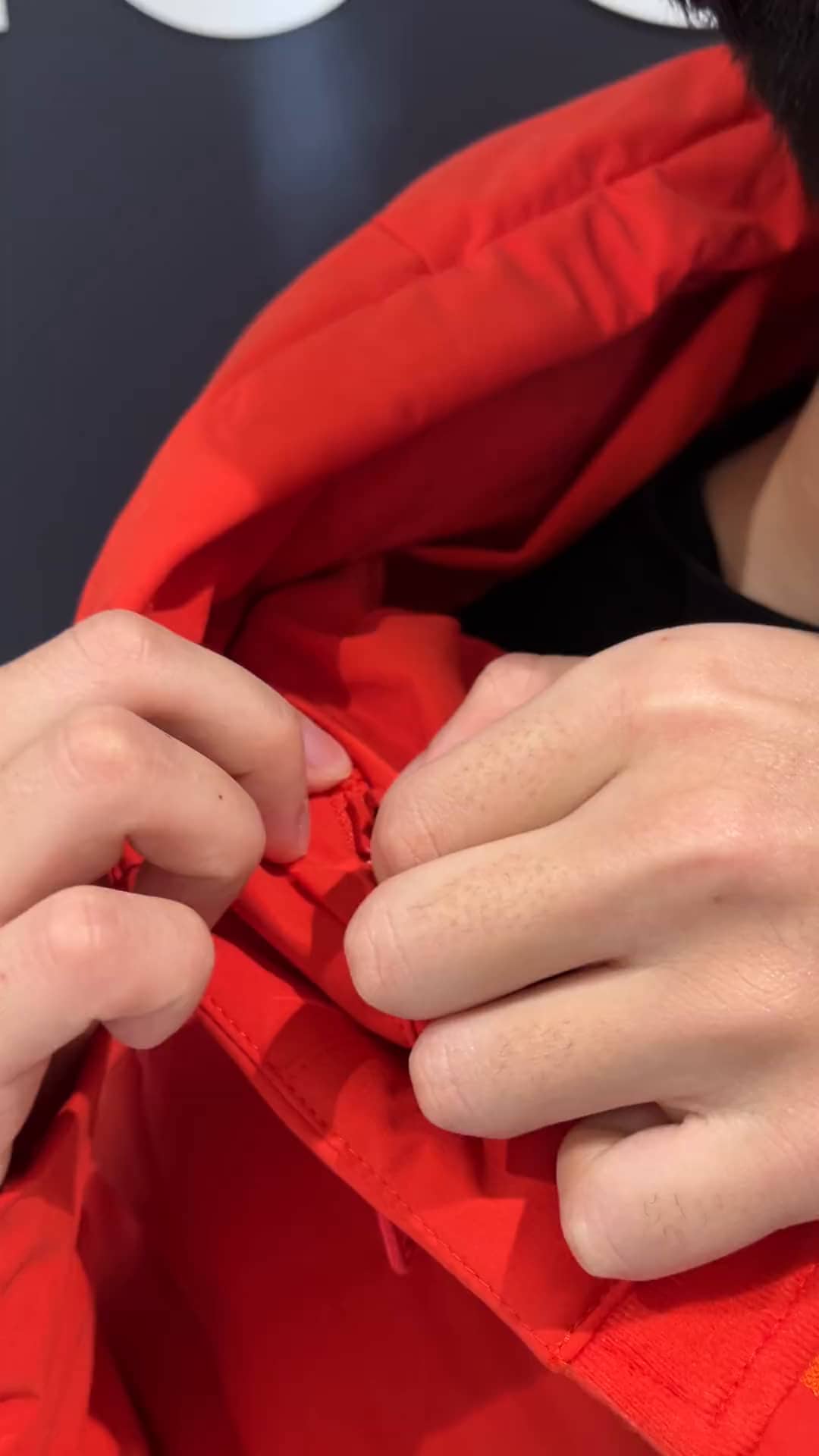 コーディネート