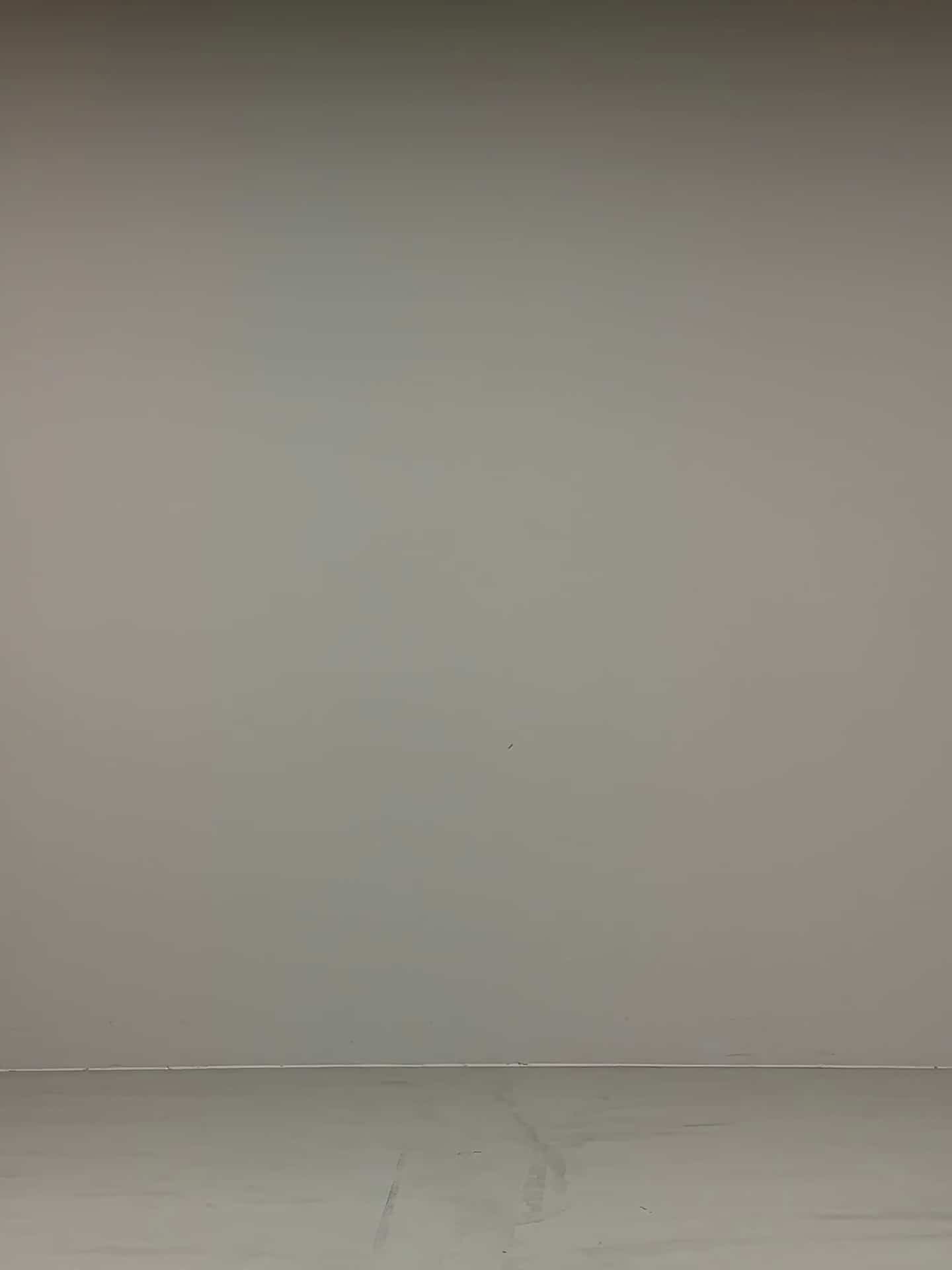 コーディネート