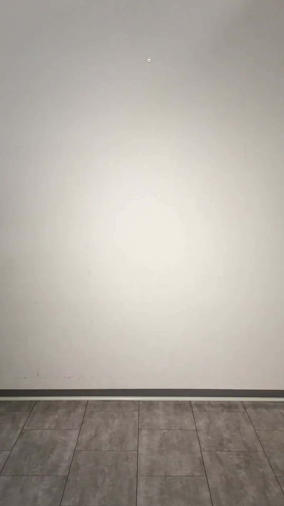 コーディネート