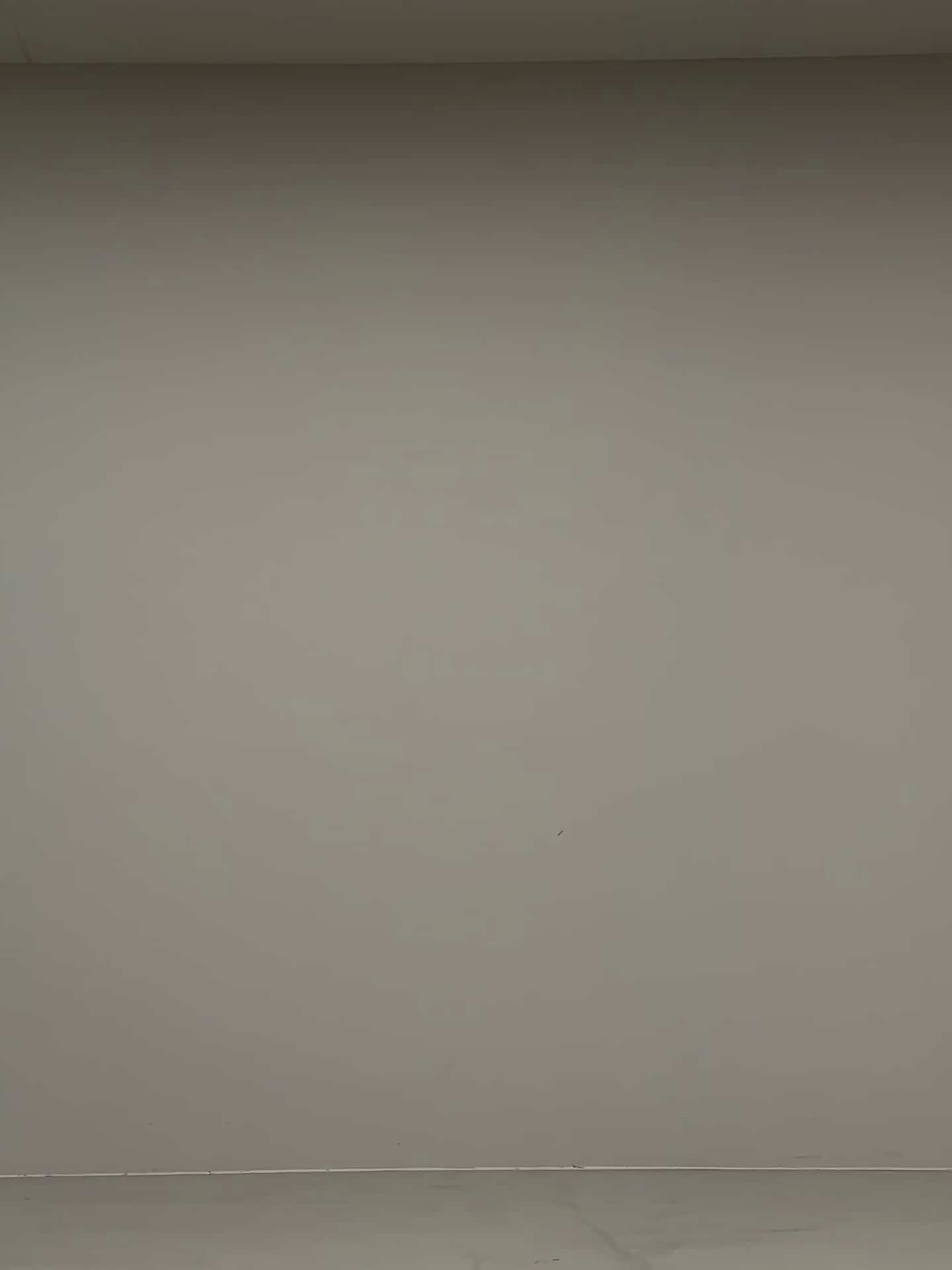 コーディネート