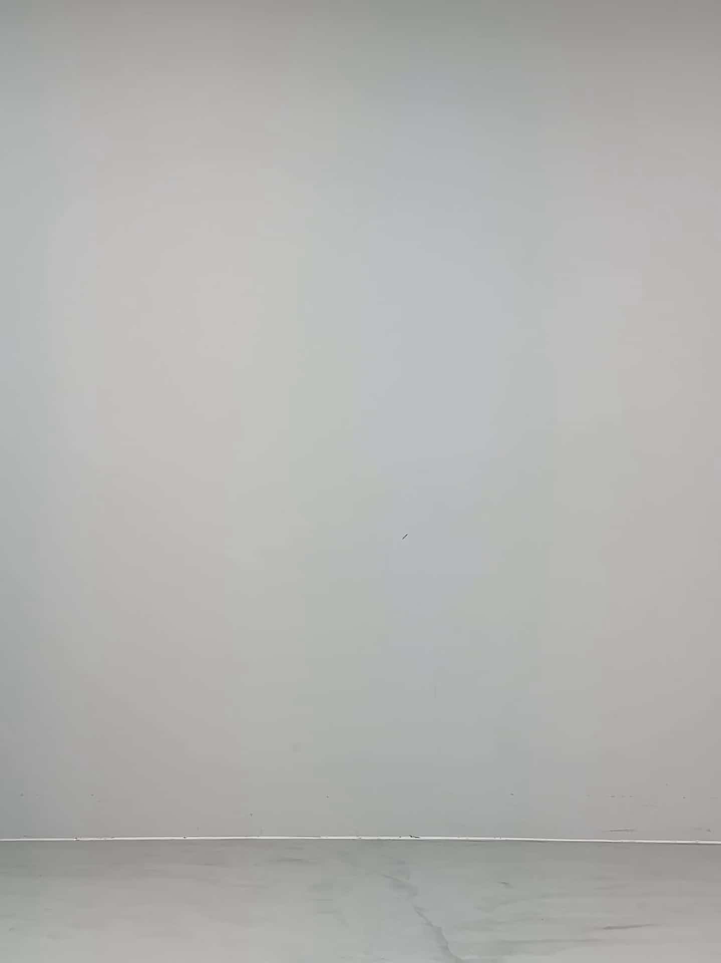 コーディネート