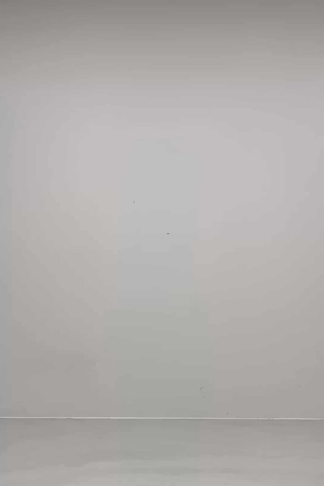 コーディネート