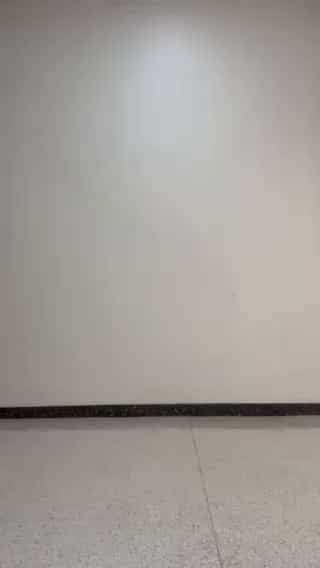 コーディネート