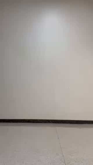 コーディネート