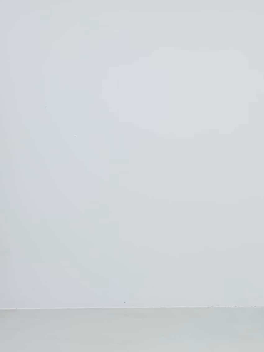 コーディネート