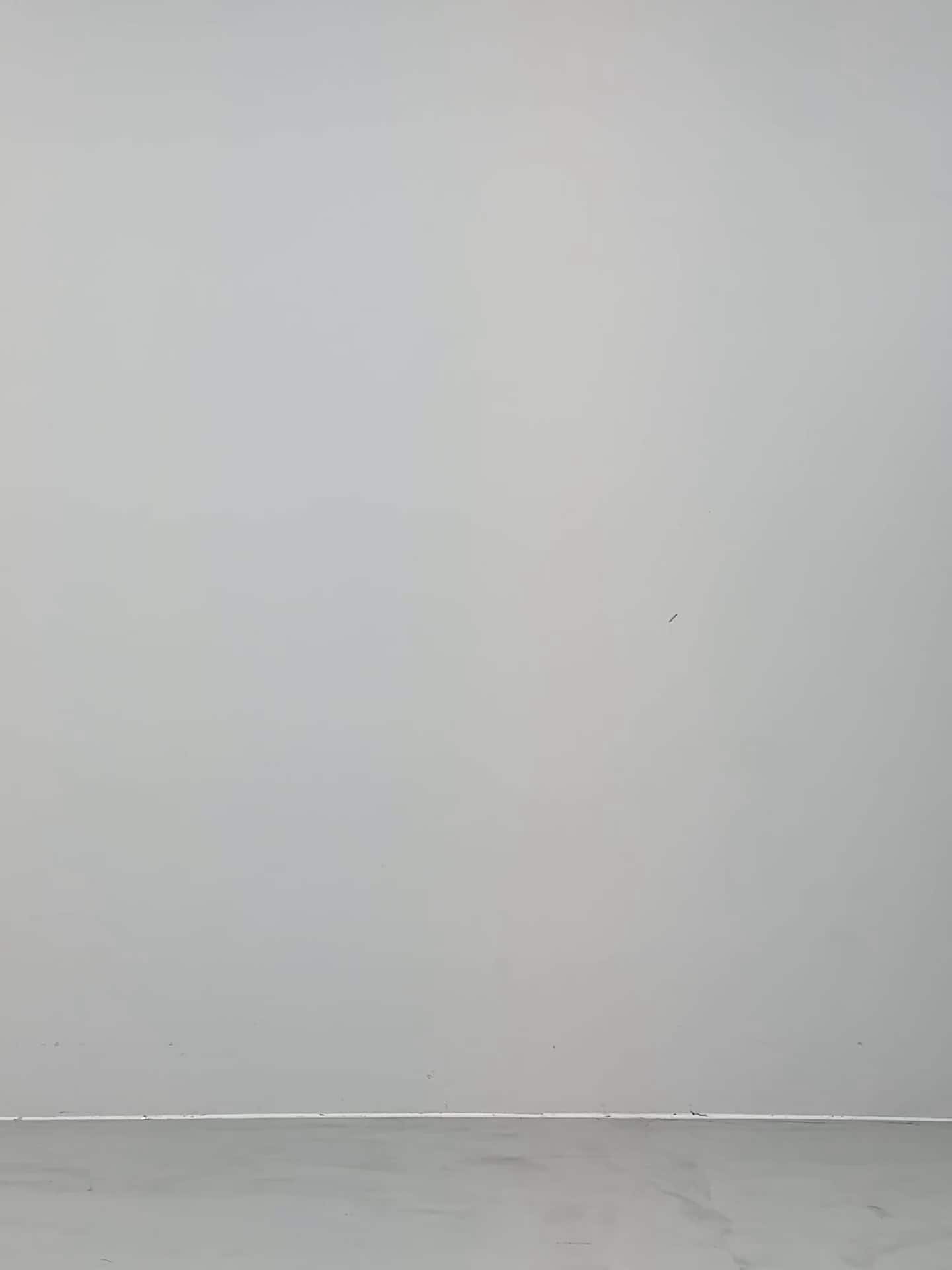 コーディネート