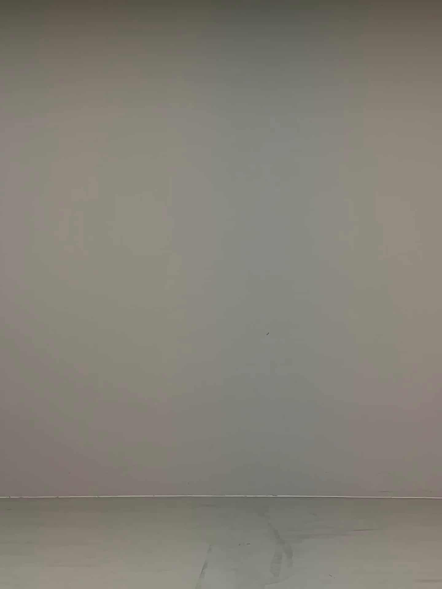 コーディネート