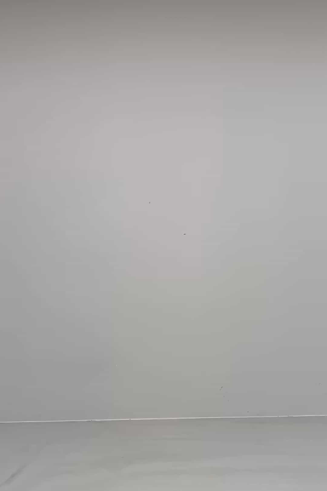 コーディネート