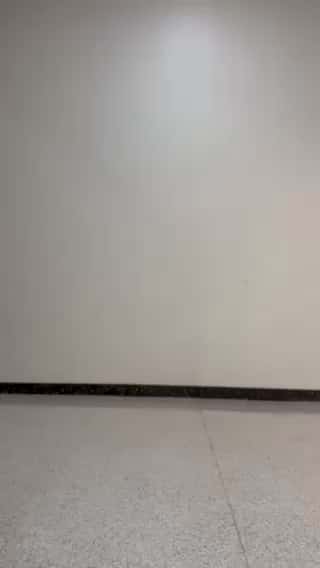 コーディネート