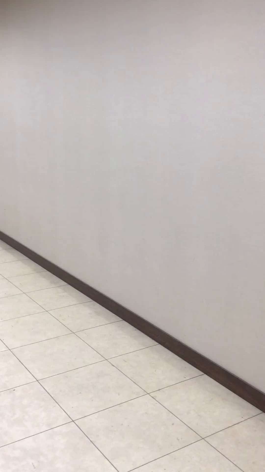 コーディネート