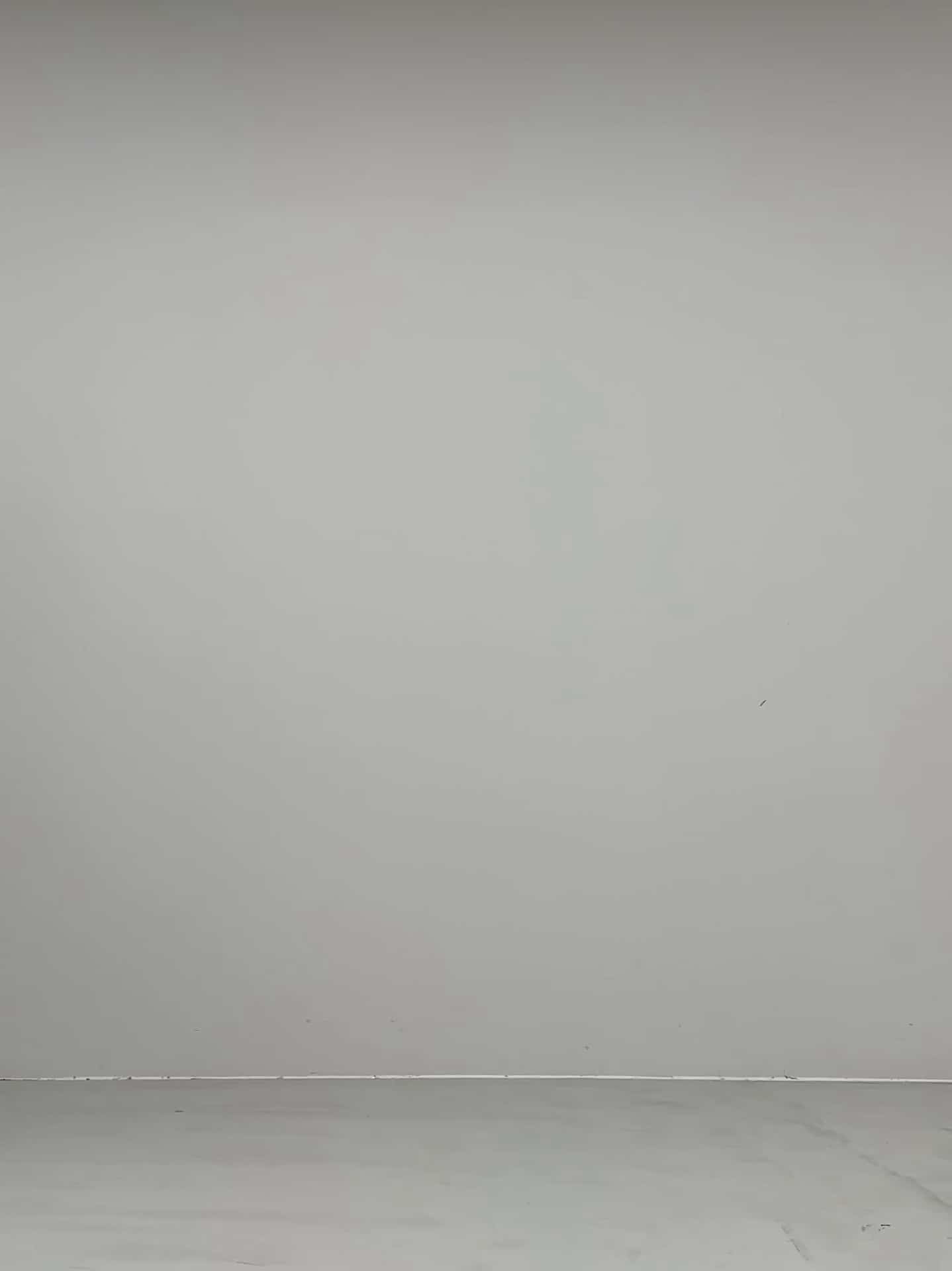 コーディネート