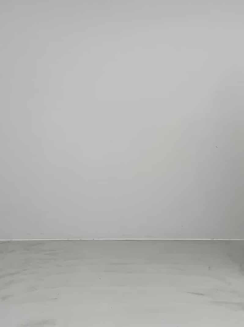 コーディネート