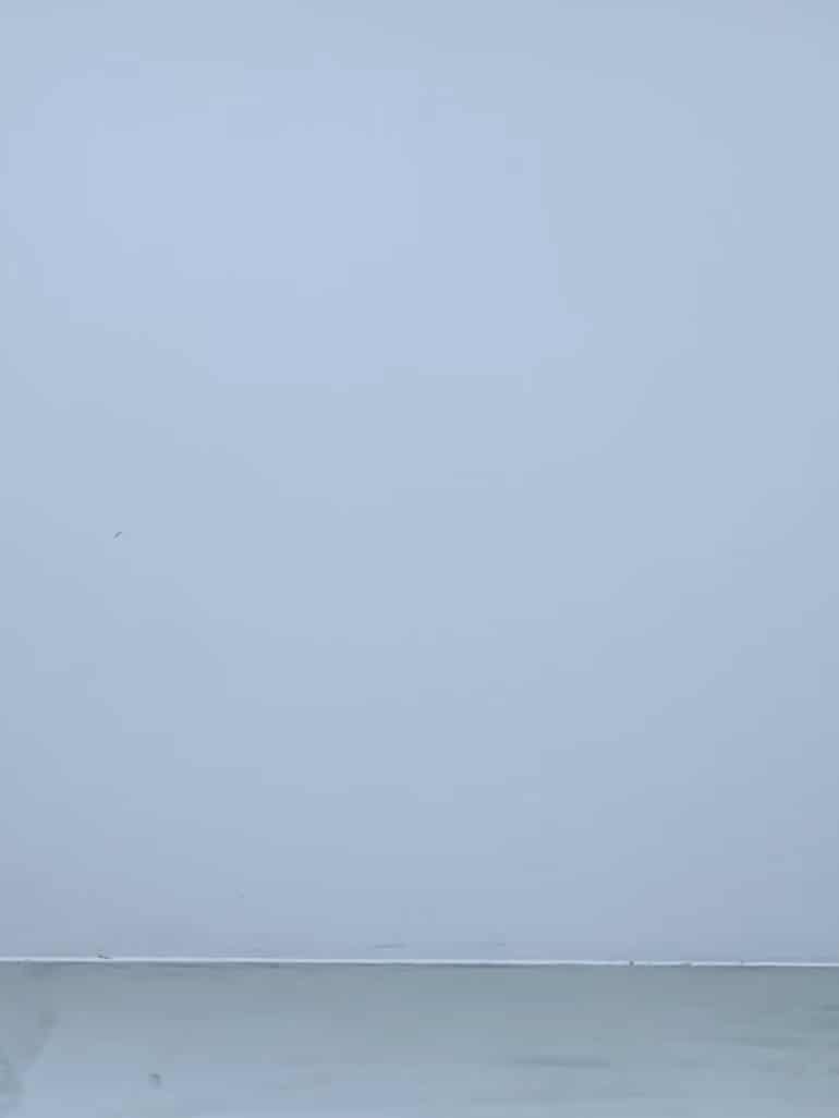 コーディネート