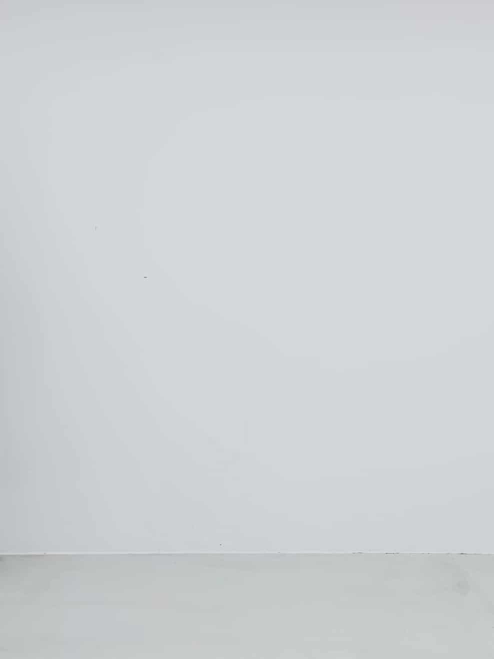 コーディネート