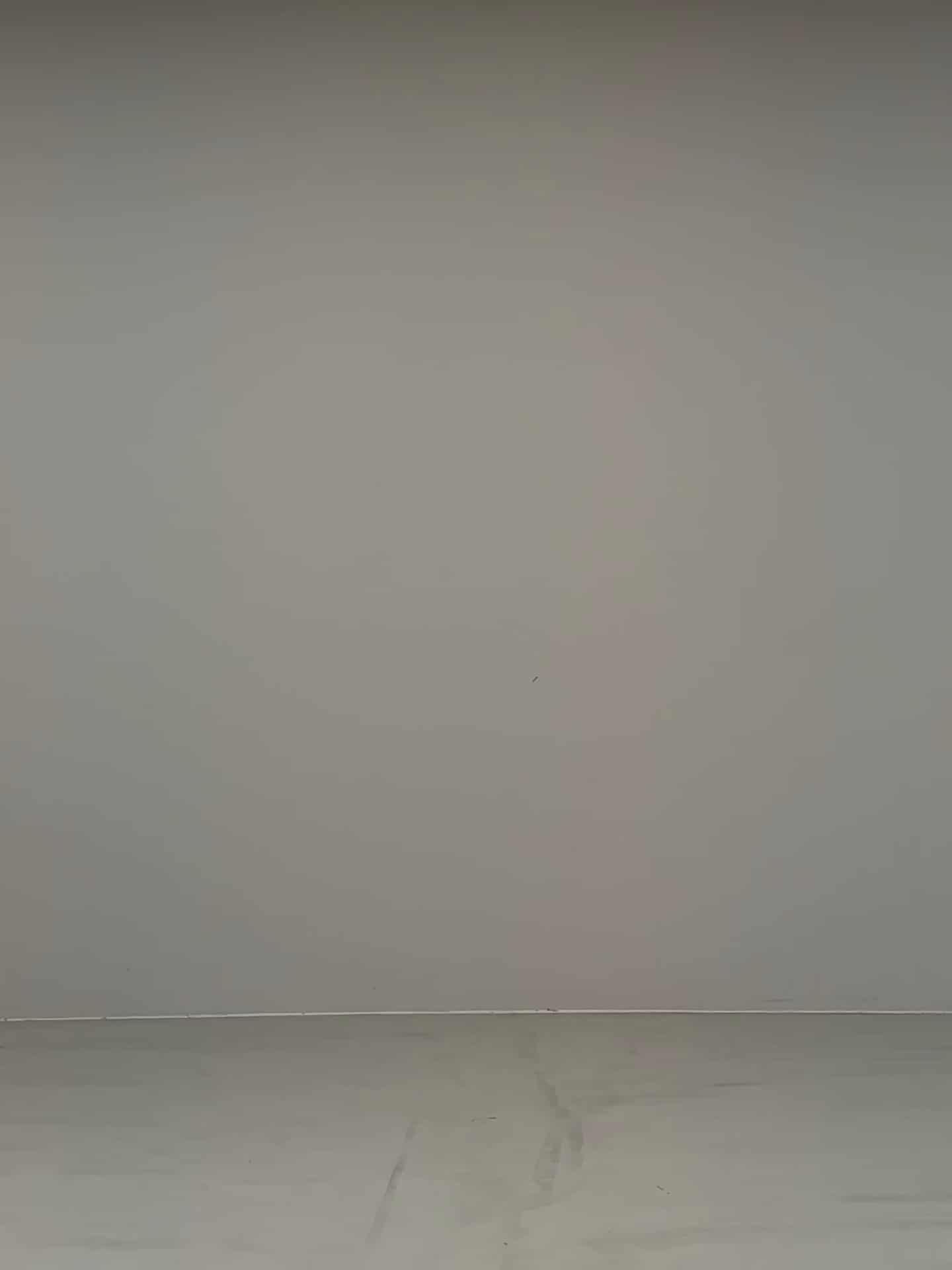 コーディネート