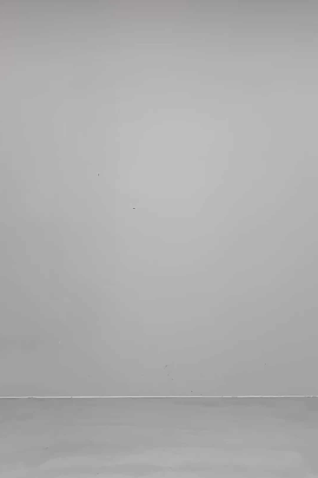 コーディネート