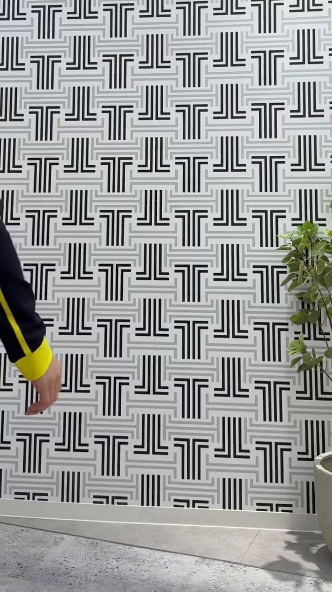 コーディネート