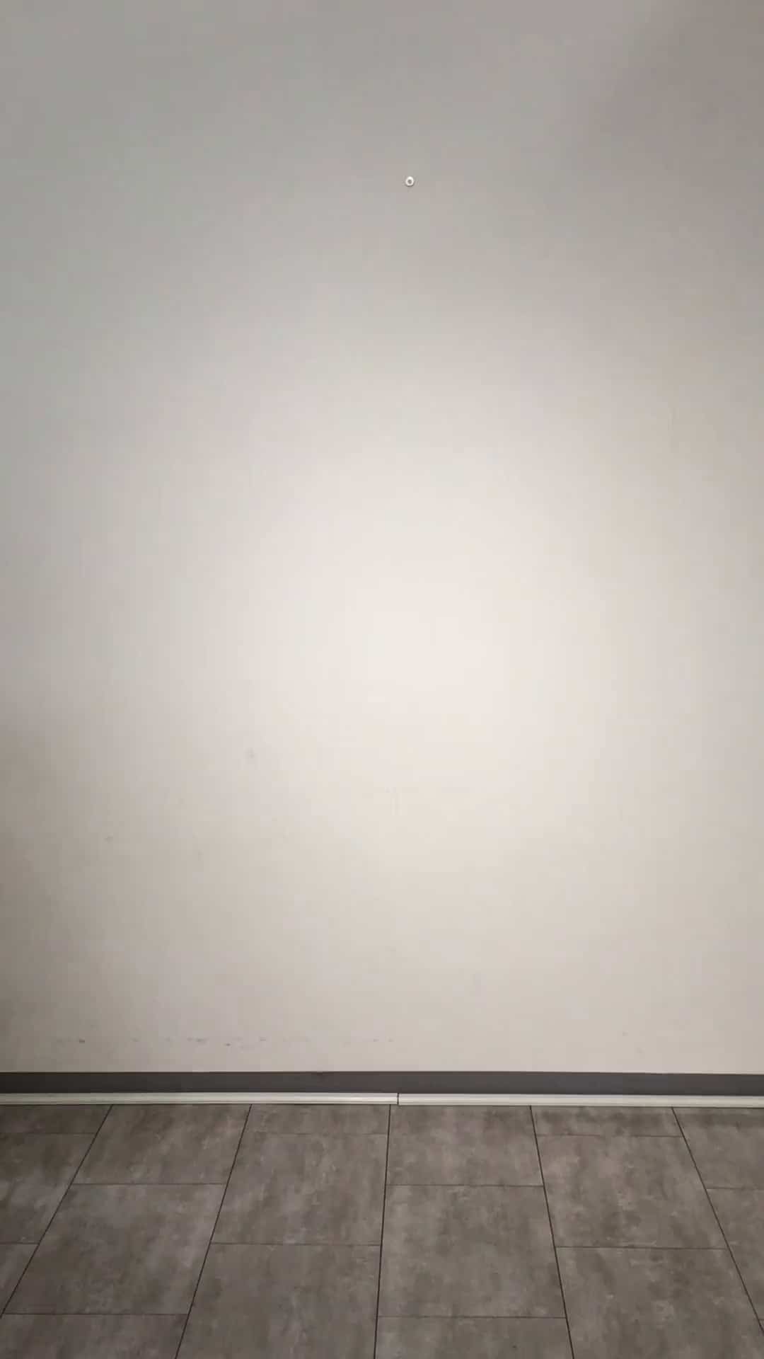 コーディネート