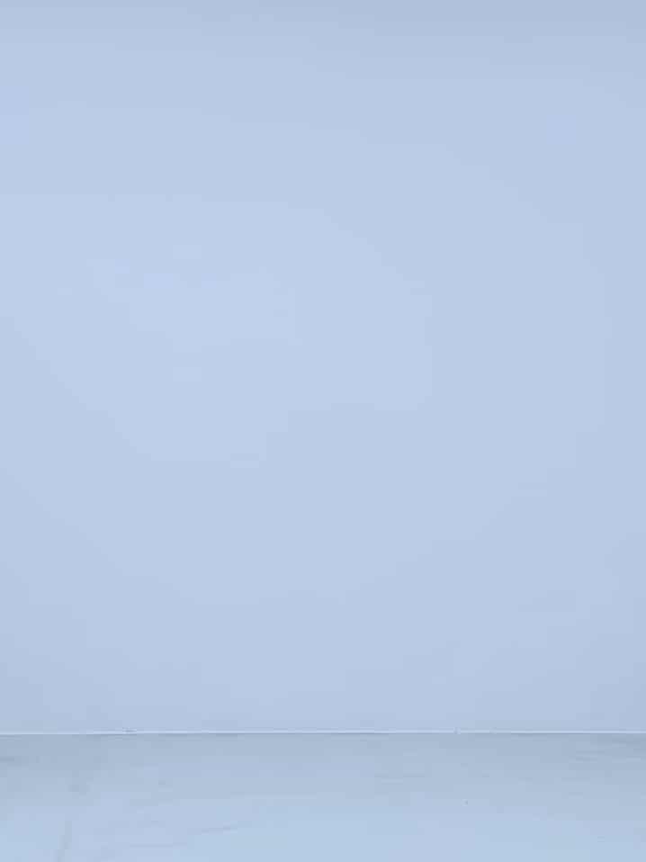 コーディネート