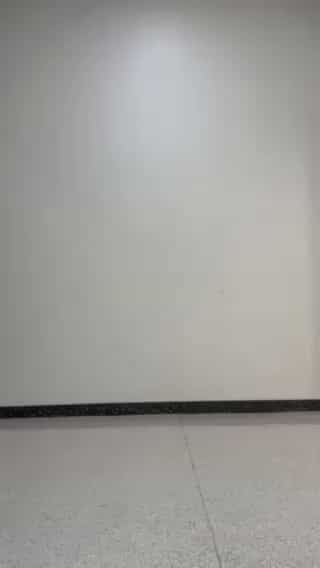 コーディネート