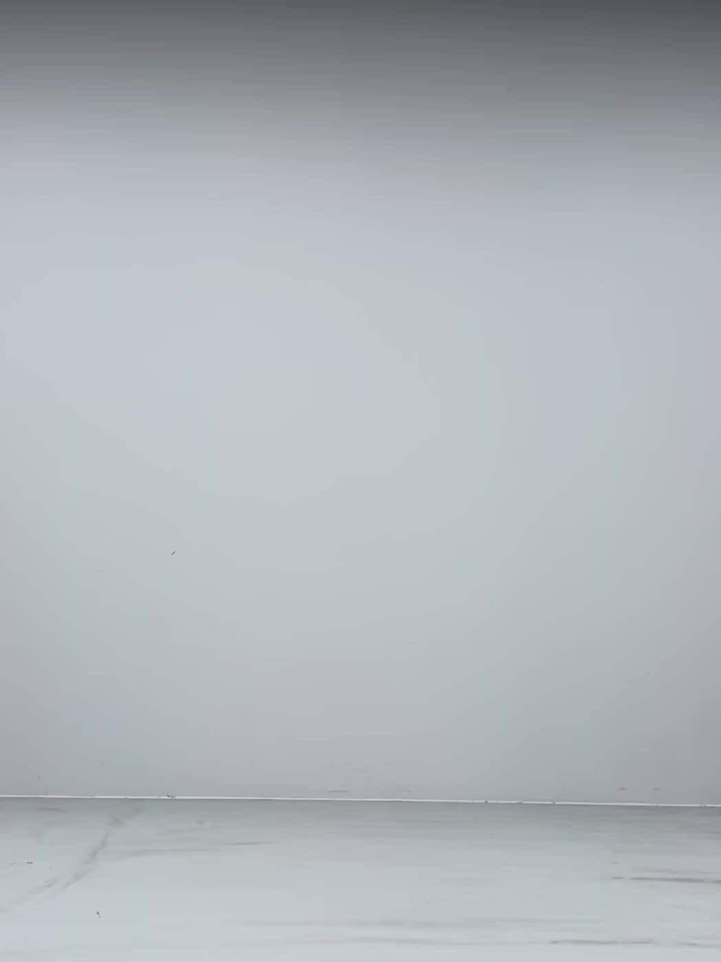 コーディネート