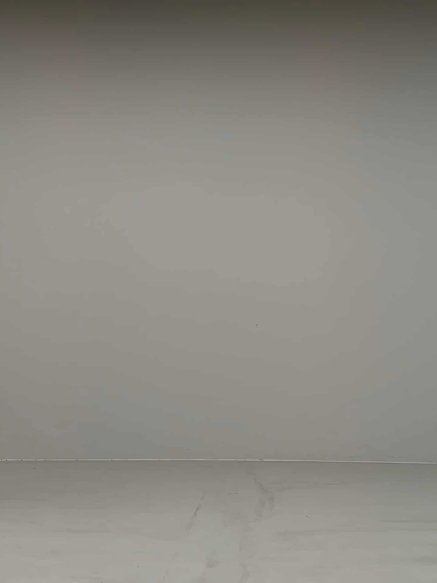 コーディネート