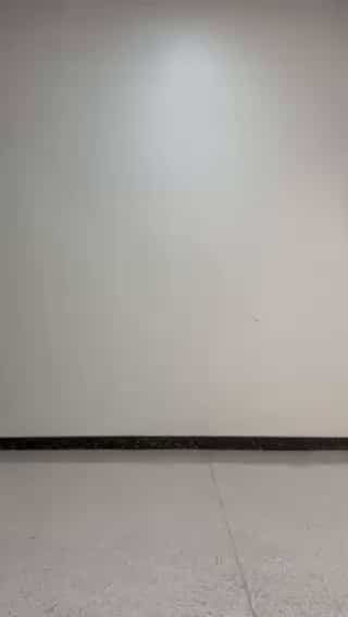 コーディネート