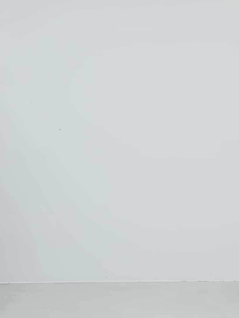 コーディネート