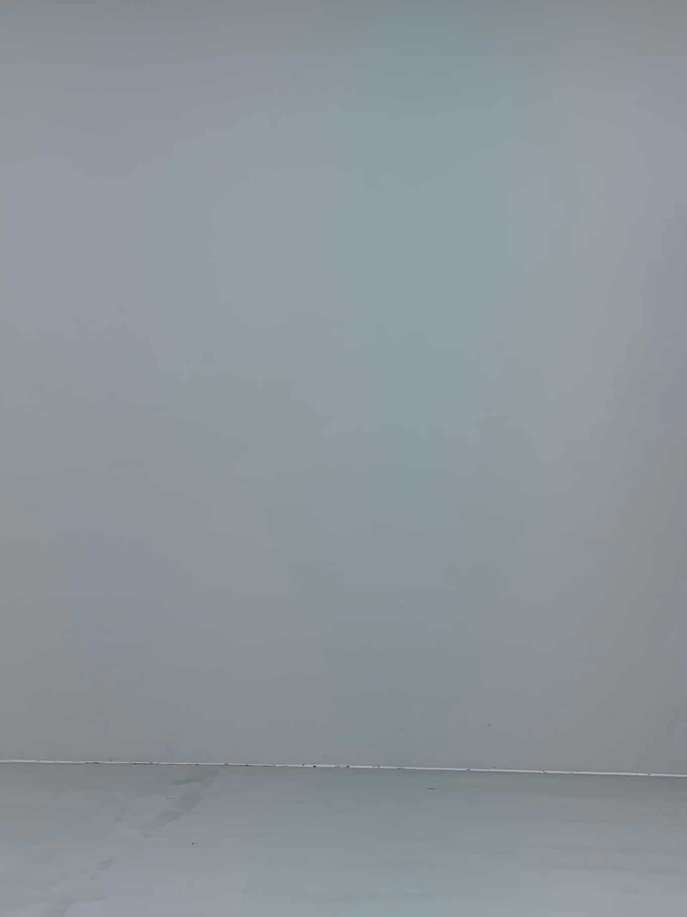 コーディネート