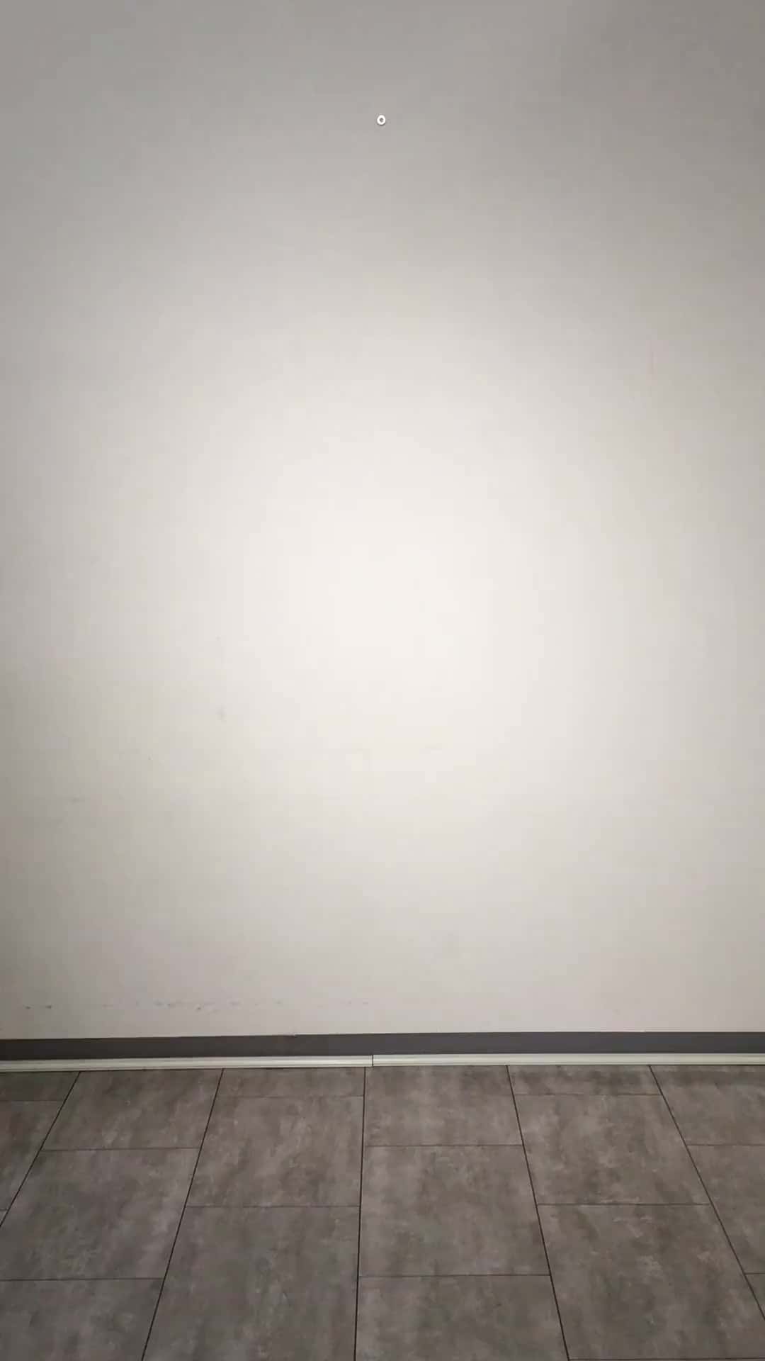 コーディネート