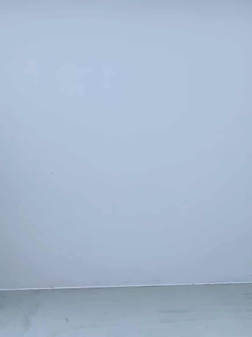 コーディネート