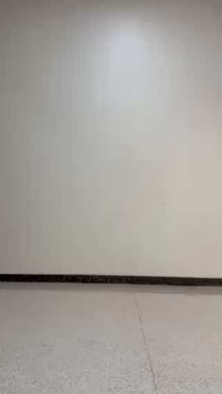コーディネート
