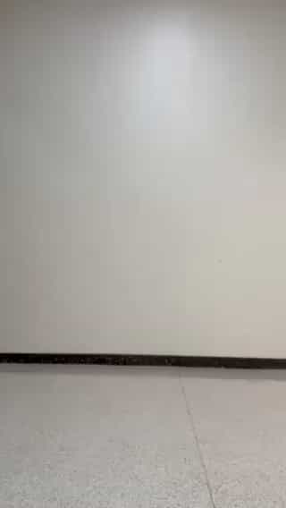 コーディネート
