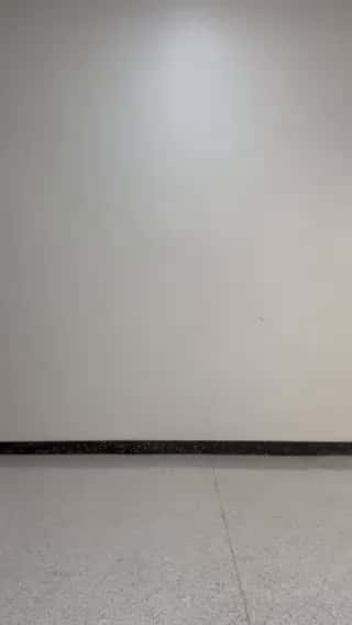 コーディネート
