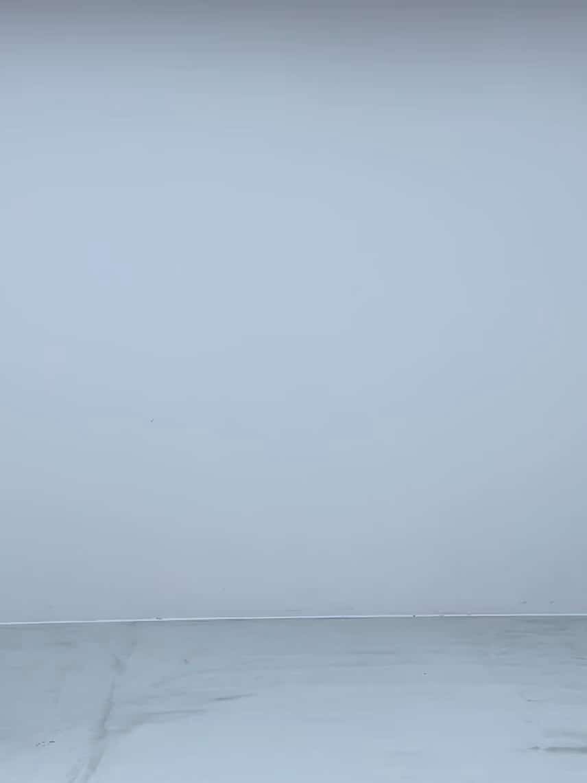 コーディネート