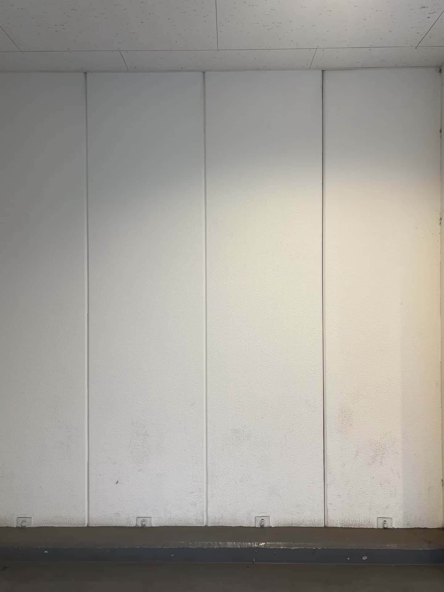 コーディネート