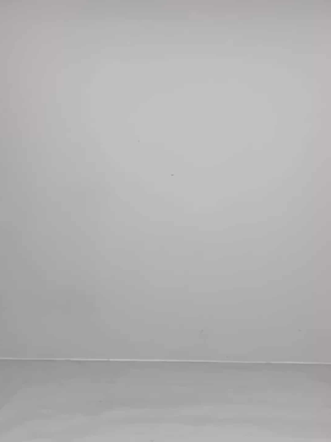 コーディネート