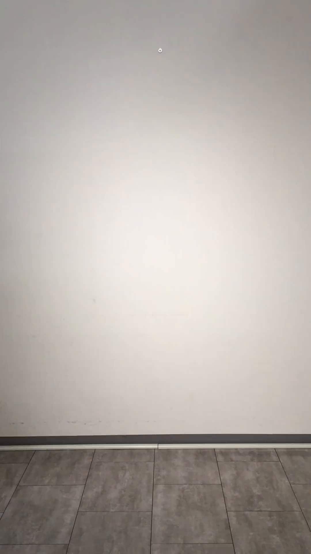 コーディネート