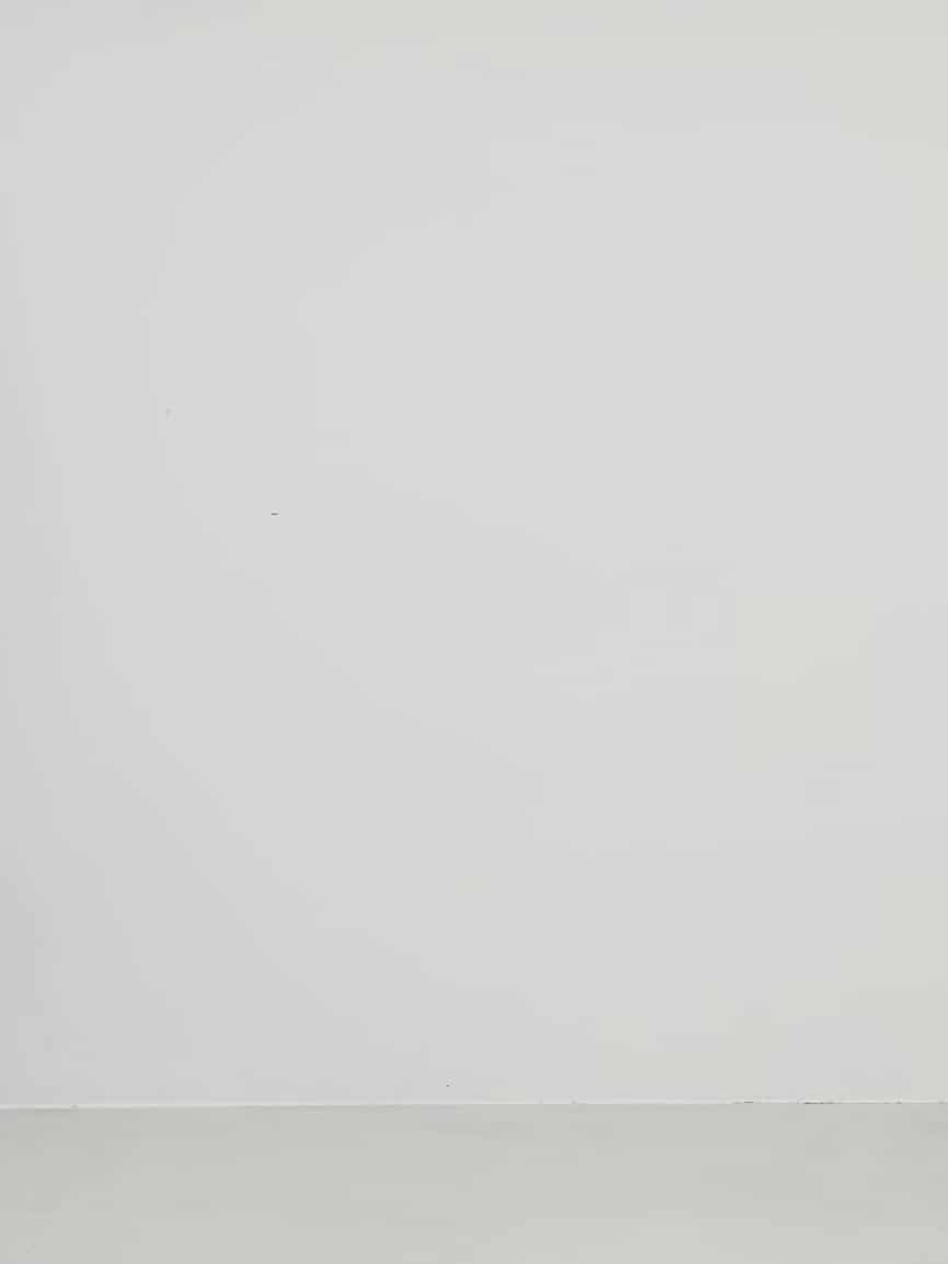 コーディネート