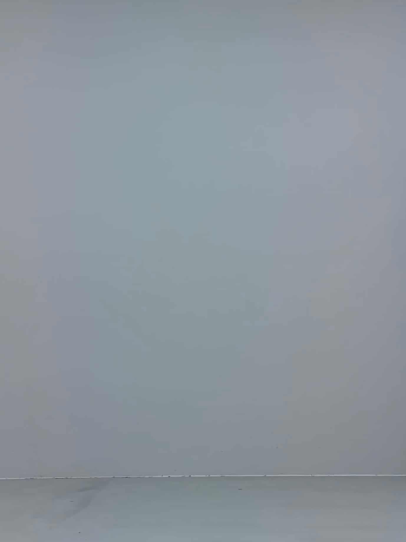 コーディネート