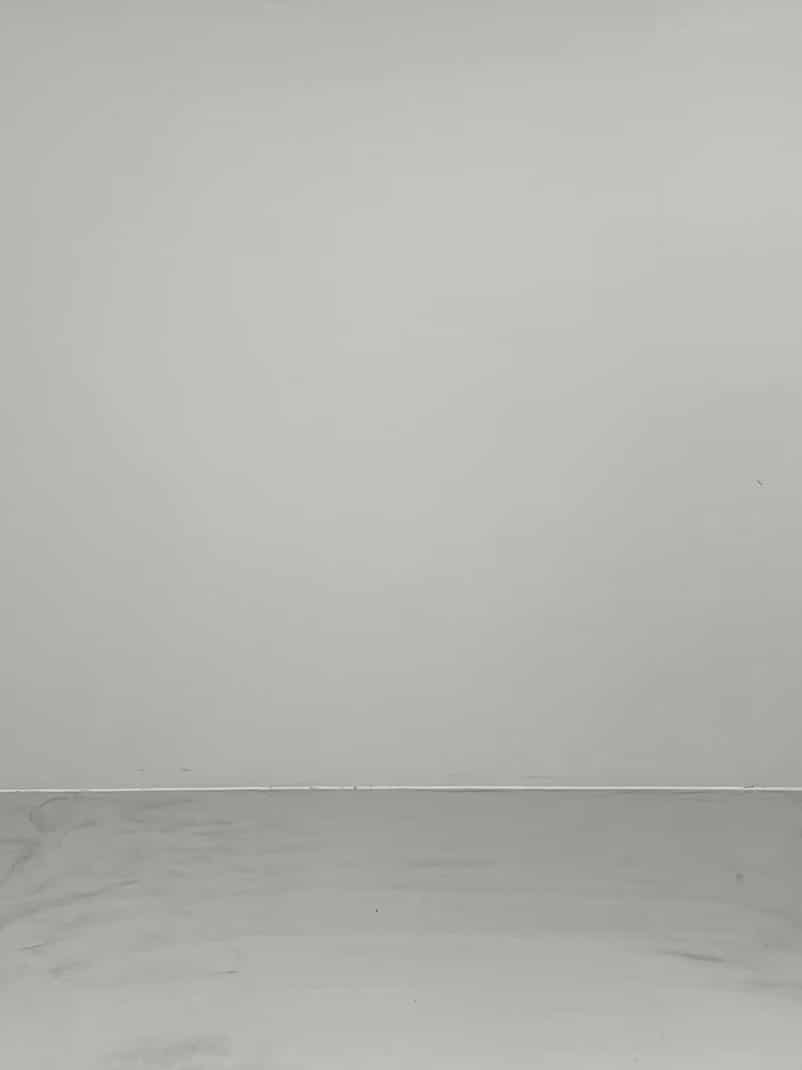 コーディネート