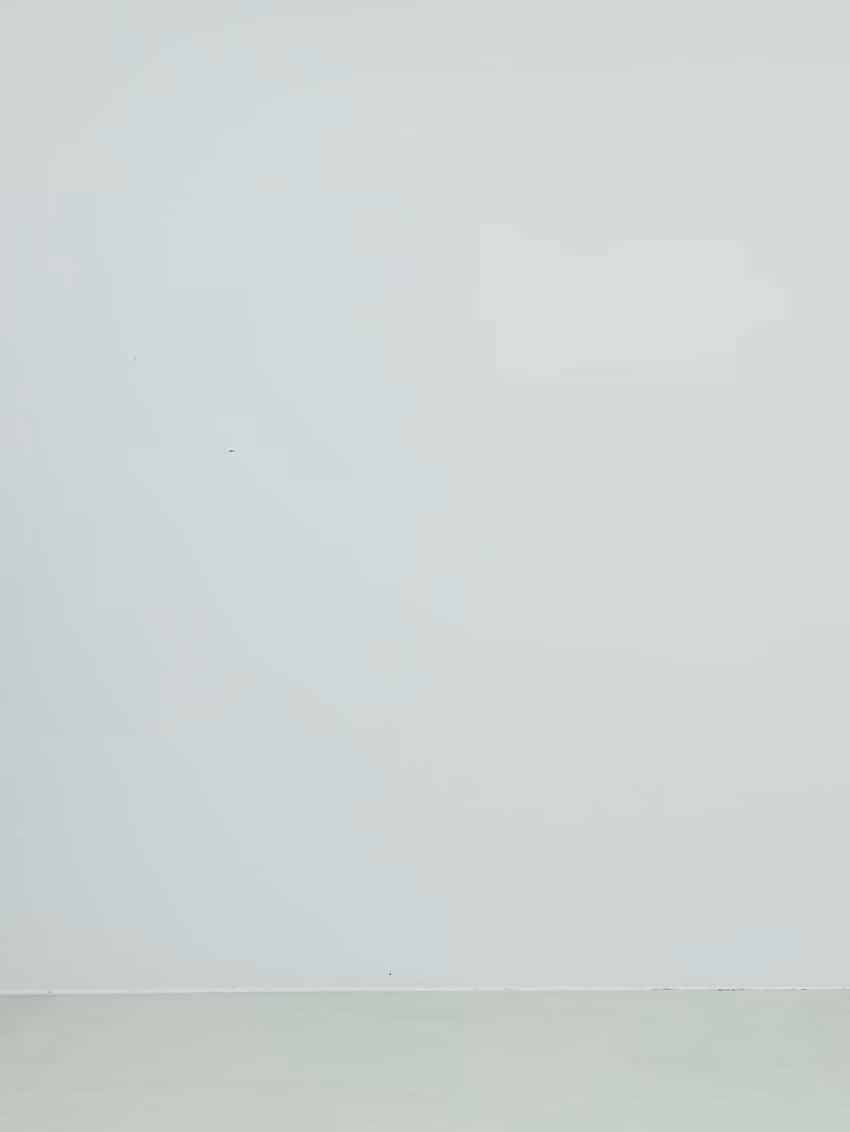 コーディネート