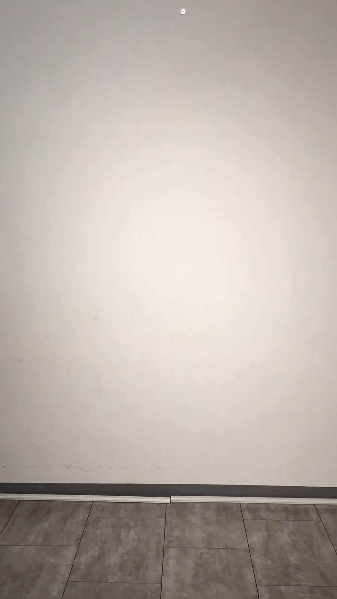 コーディネート